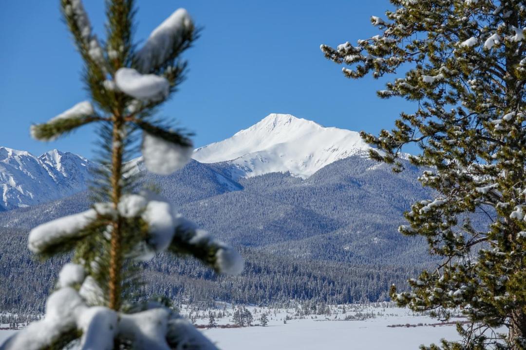 Photo of Others in Fraser