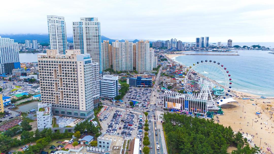 Photo of Others in Sokcho