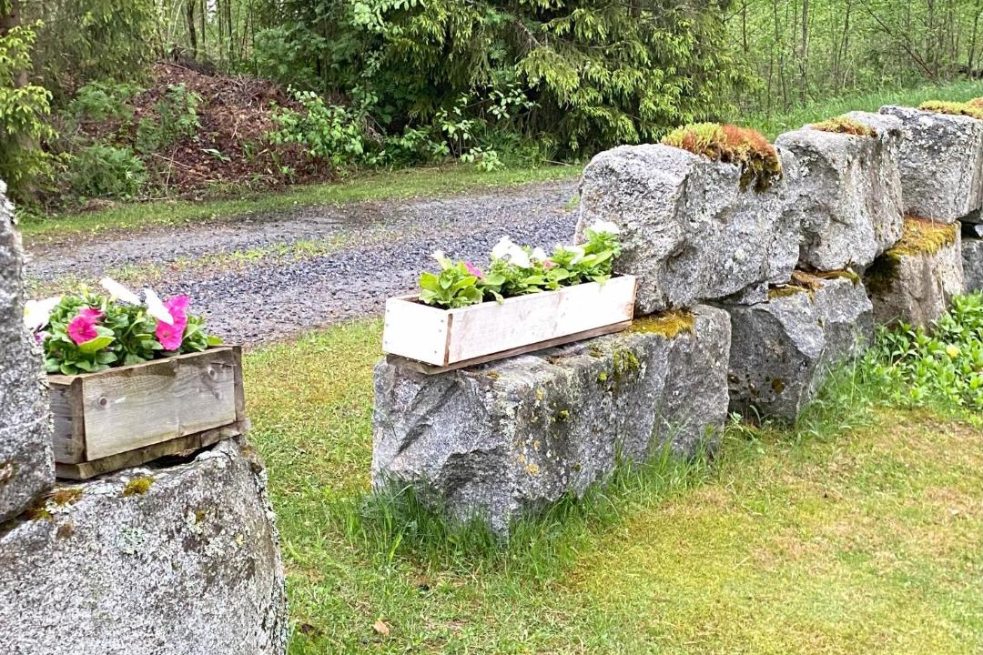 Photo of Others in Suonenjoki