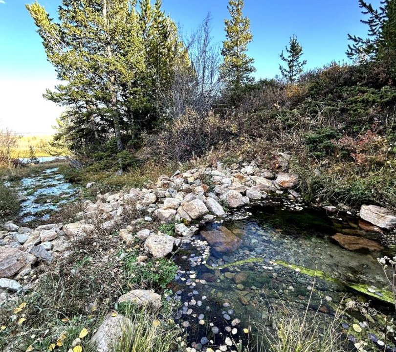 Photo of Others in Warm Springs