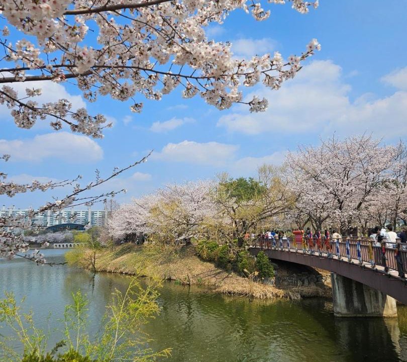 Photo of Others in Suwon