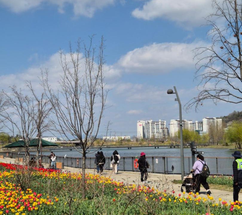 Photo of Others in Banghwa-dong