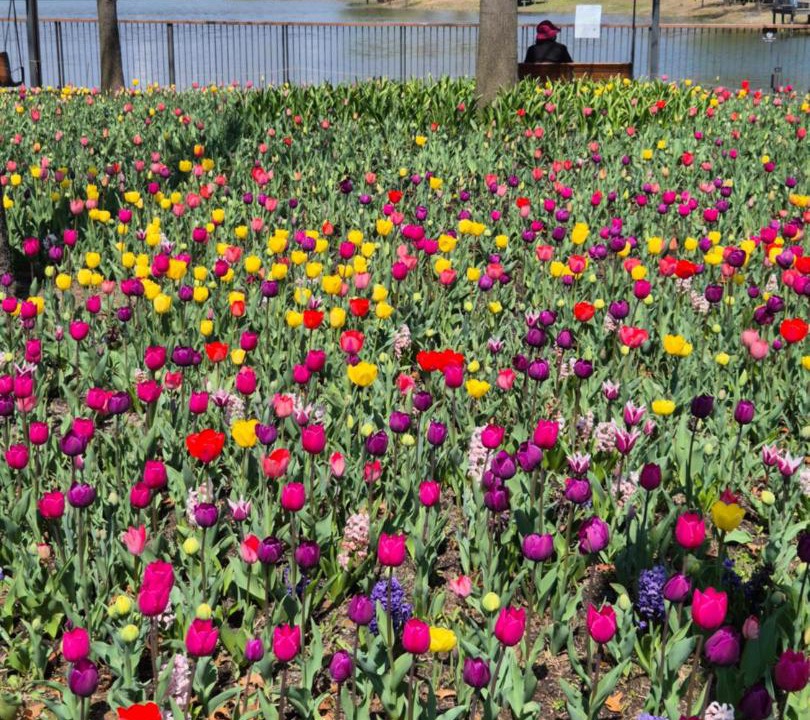 Photo of Outdoor in Banghwa-dong