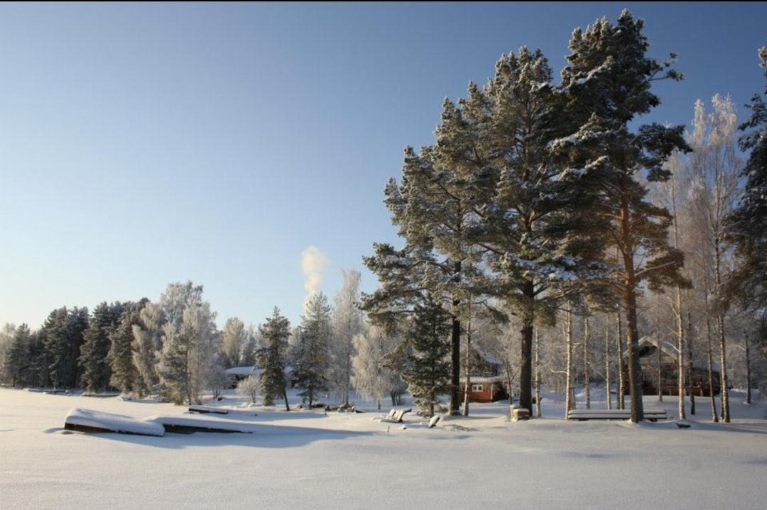 Photo of Others in Tahkovuori