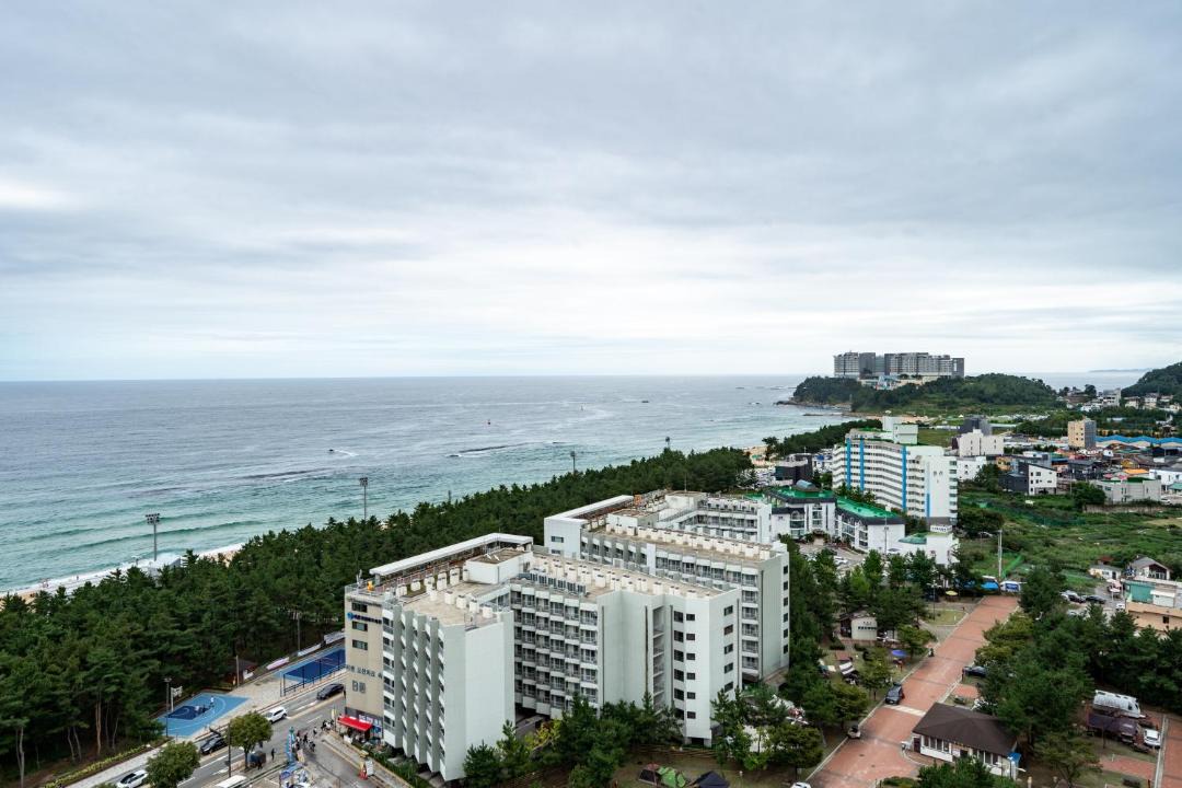 Photo of Others in Sokcho