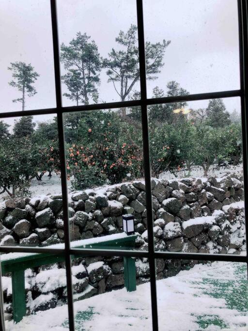 Photo of Others in Jocheon