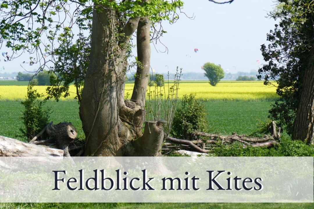 Photo of Others in Sulsdorf