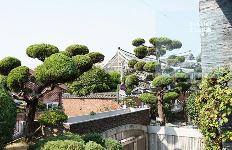 Photo of Others in Dong-Gu
