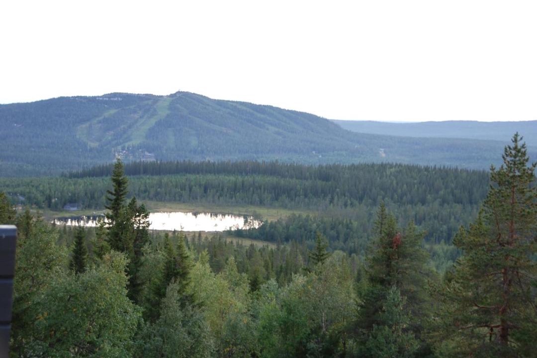 Photo of Others in Syote
