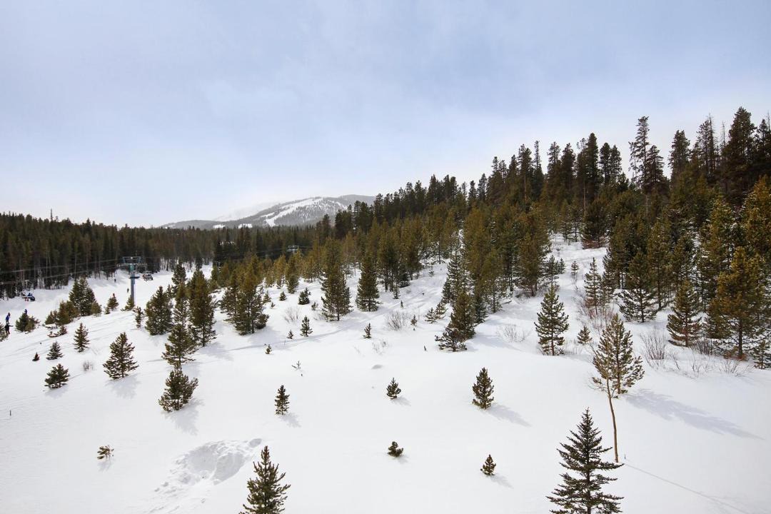 Photo of Others in Peak 9