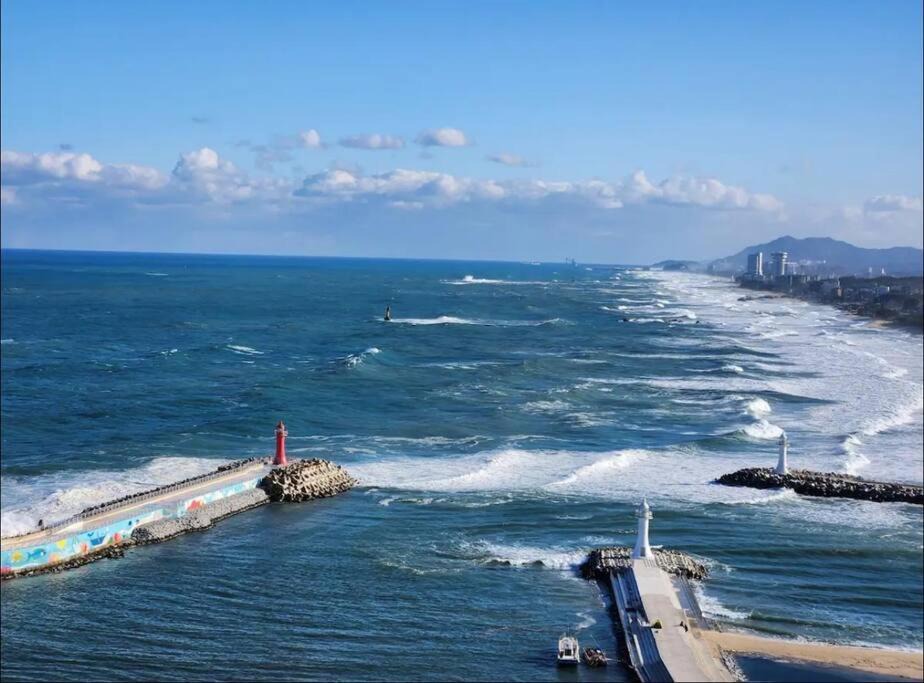 Photo of Others in Gangneung