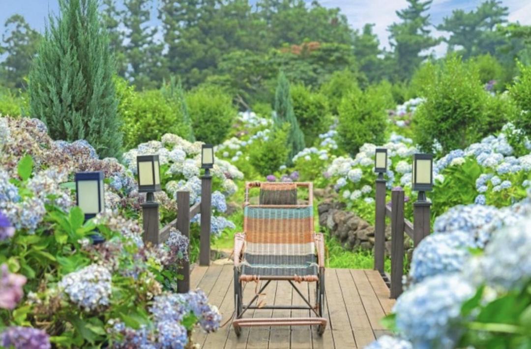 Photo of Others in Jocheon