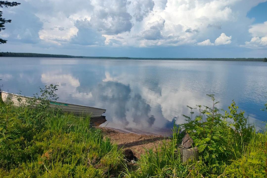 Photo of Others in Sonkajarvi