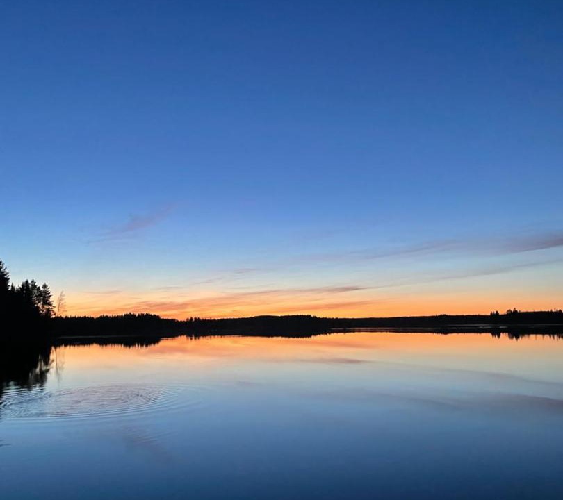 Photo of Others in Lapinlahti