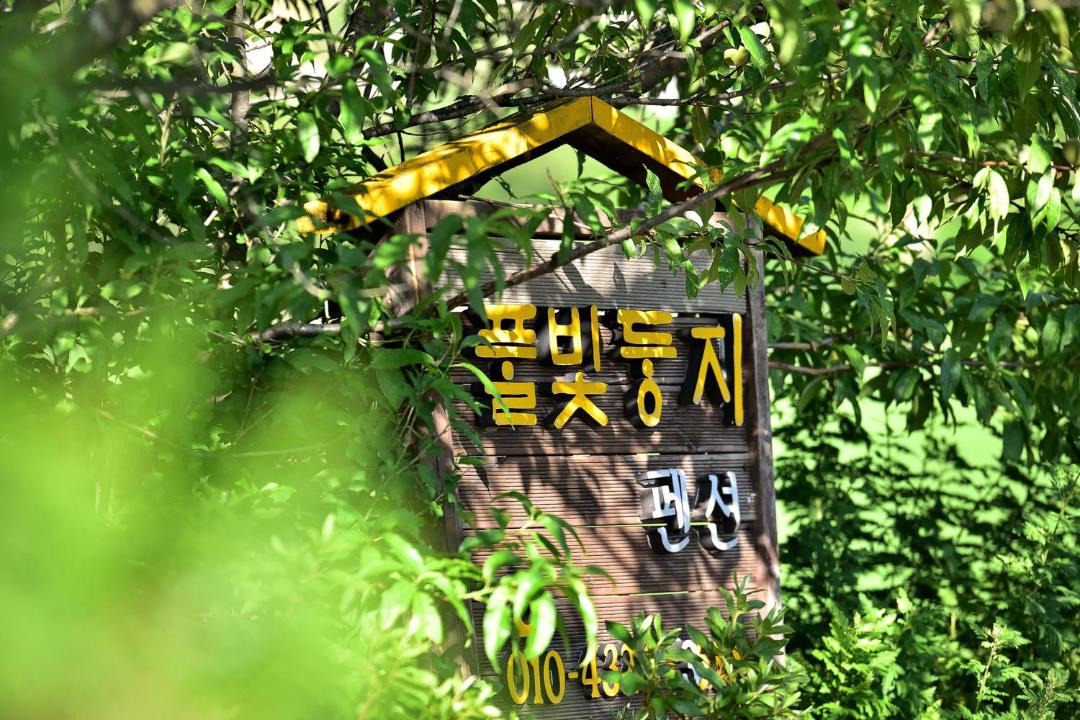 Photo of Others in Yangyang