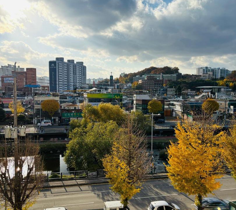 Photo of Others in Dong-Gu