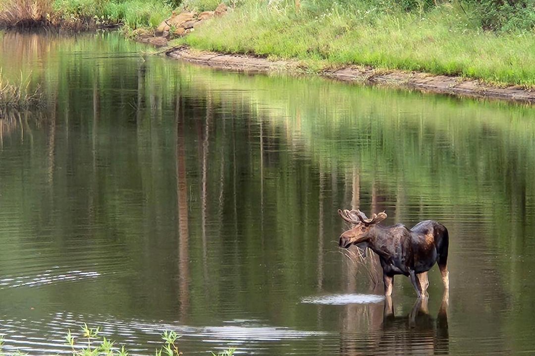Photo of Others in Lyons