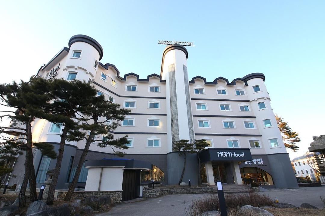 Photo of Others in Gangneung