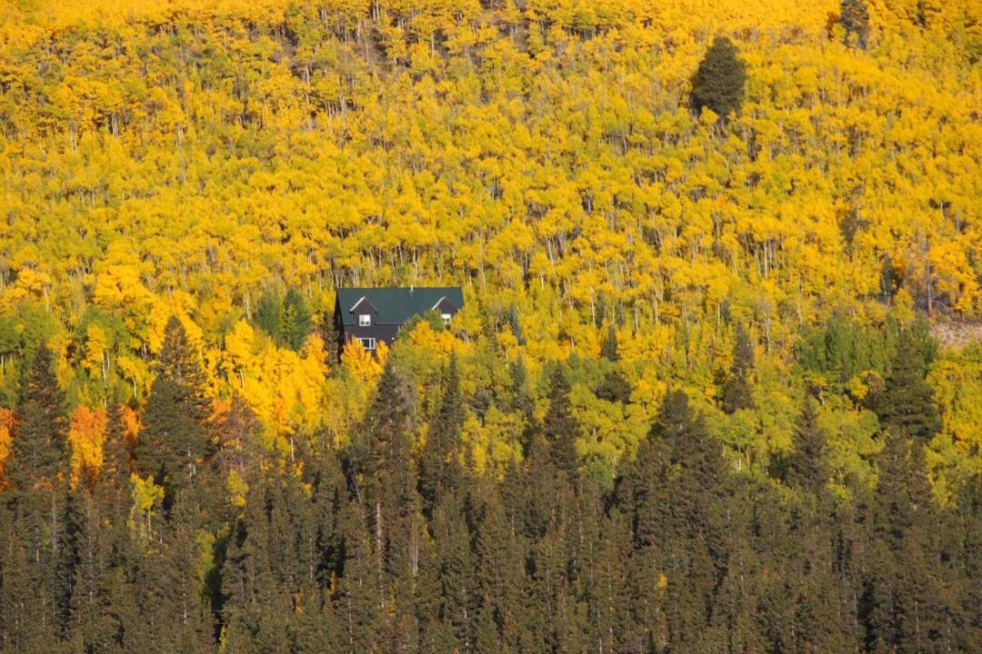 Photo of Others in Alma