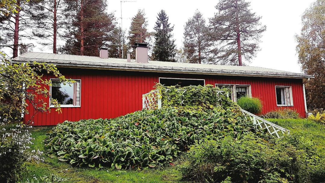 Photo of Others in Nurmes