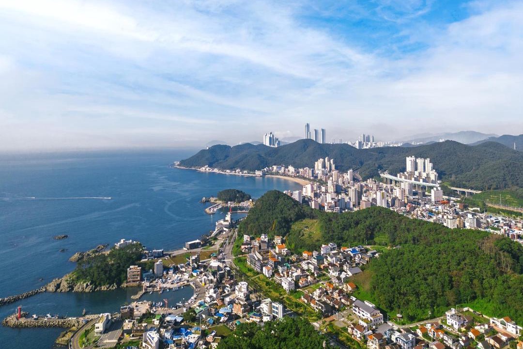 Photo of Others in Busan