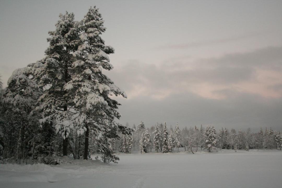 Photo of Others in Kivipera