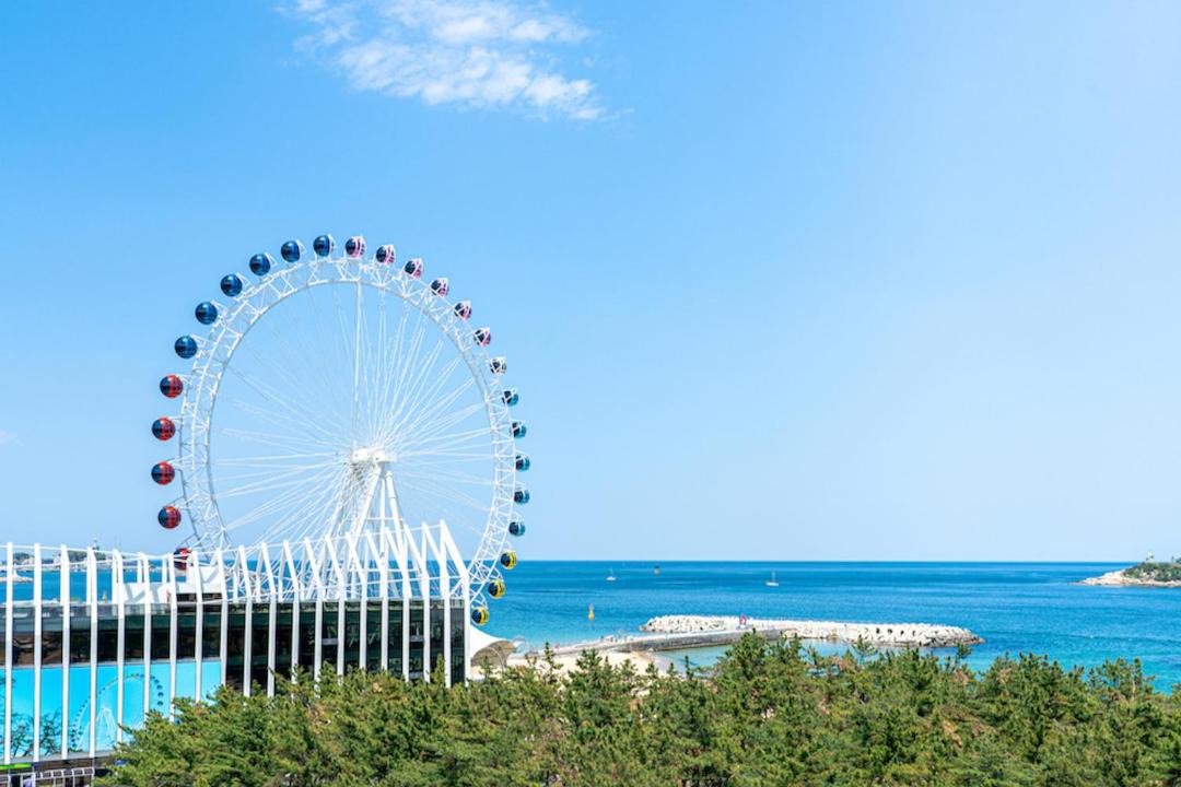 Photo of Others in Sokcho