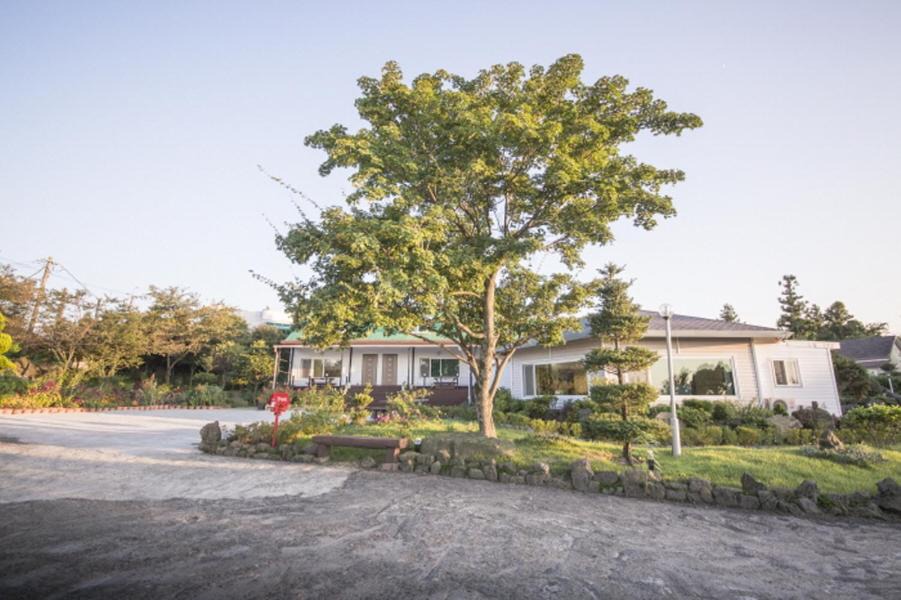 Photo of Buildings in Jocheon