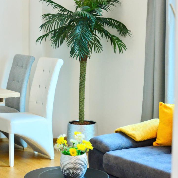 Photo of Livingroom in Erdberg
