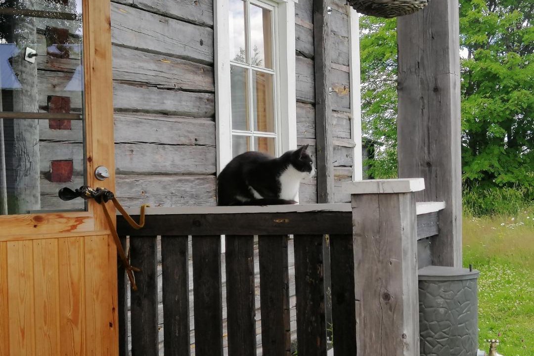 Photo of Others in Valtimo
