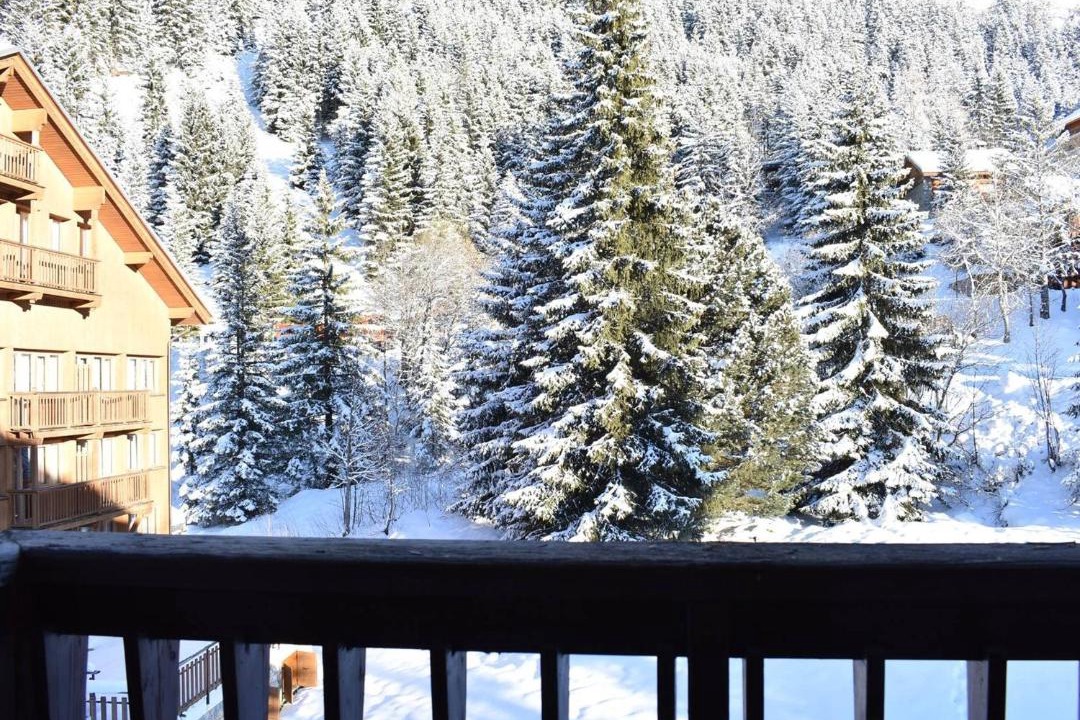 Photo of Others in Meribel