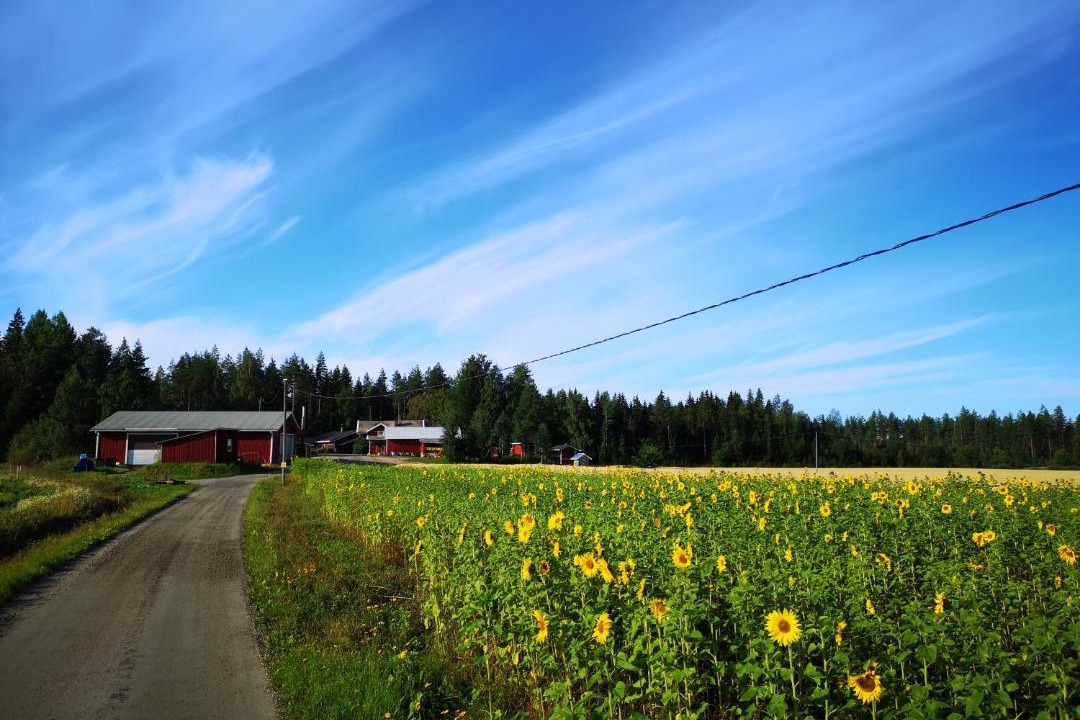 Photo of Others in Peraseinajoki