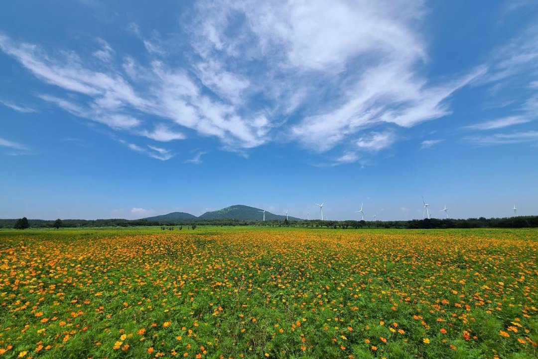 Photo of Others in Namwon