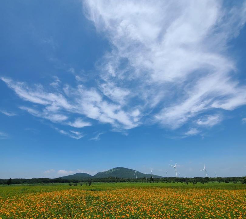 Photo of Others in Namwon