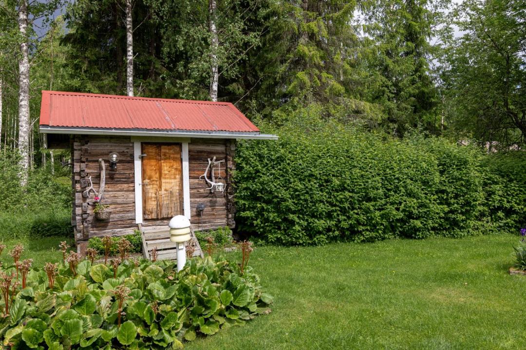 Photo of Others in Suonenjoki