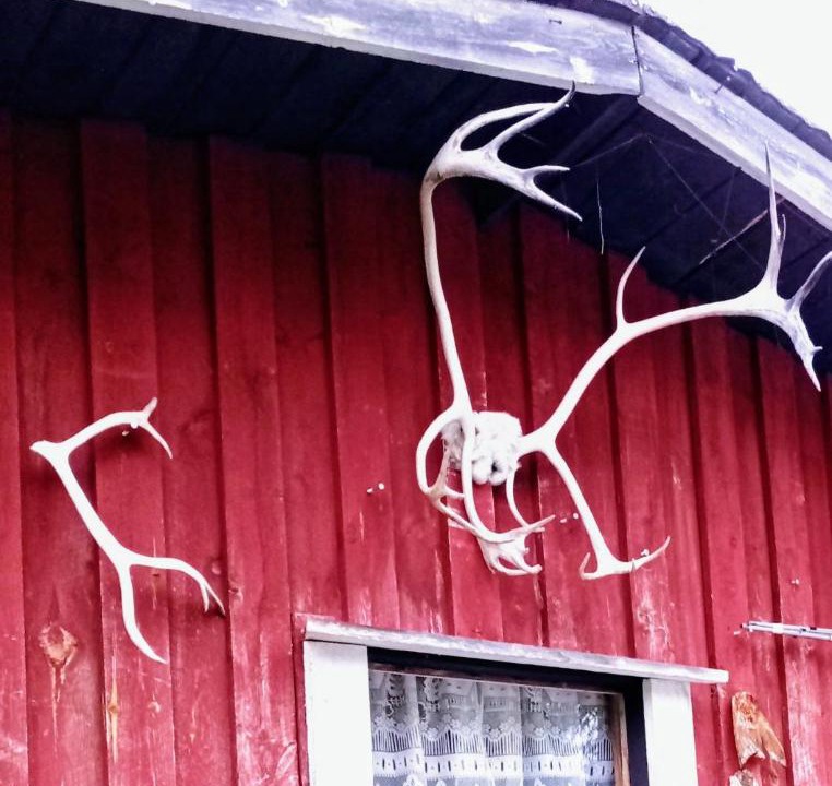 Photo of Others in Utsjoki
