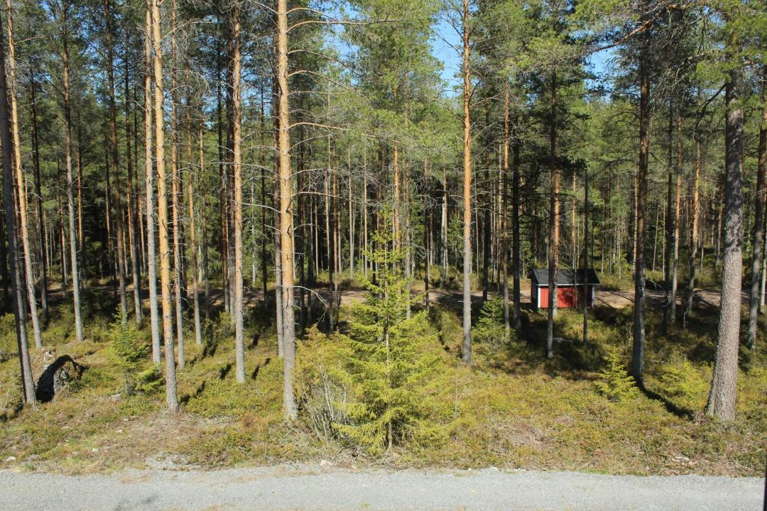 Photo of Others in Kannus