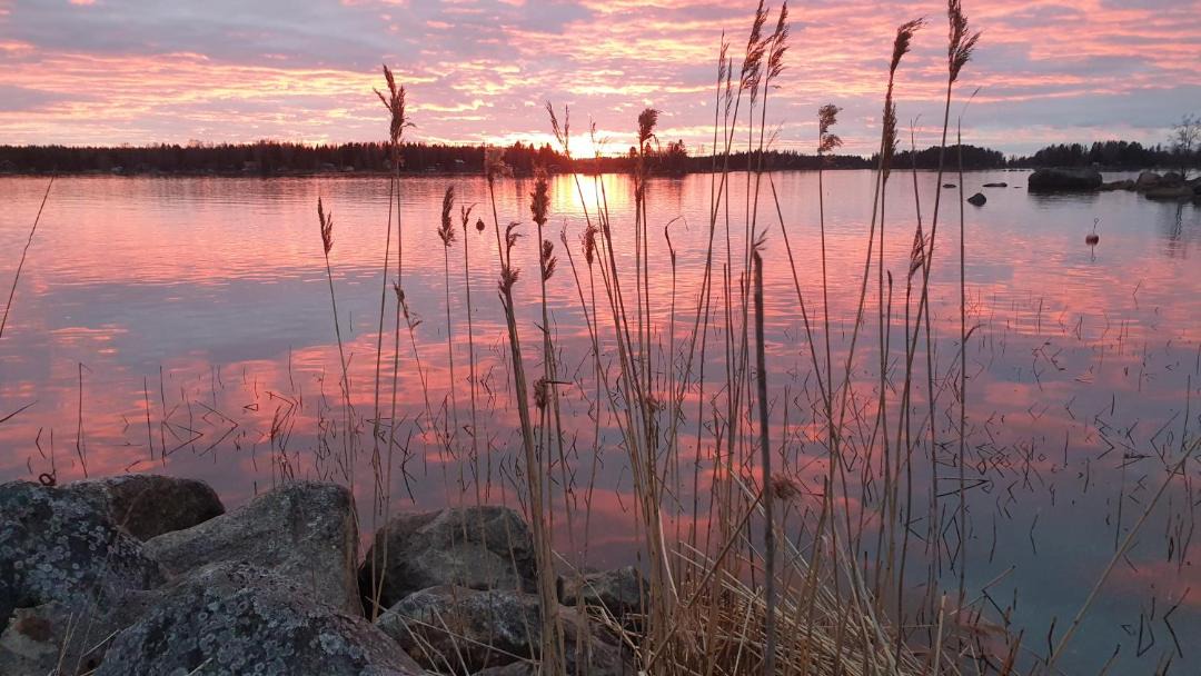 Photo of Others in Vaasa