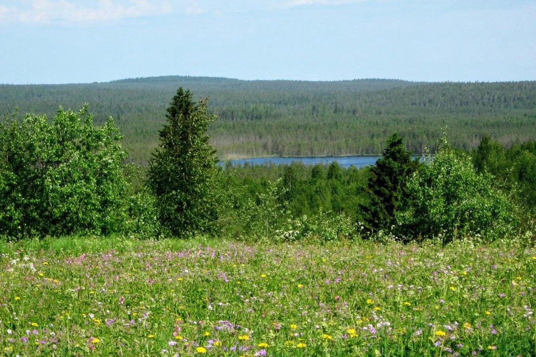 Photo of Others in Valtimo