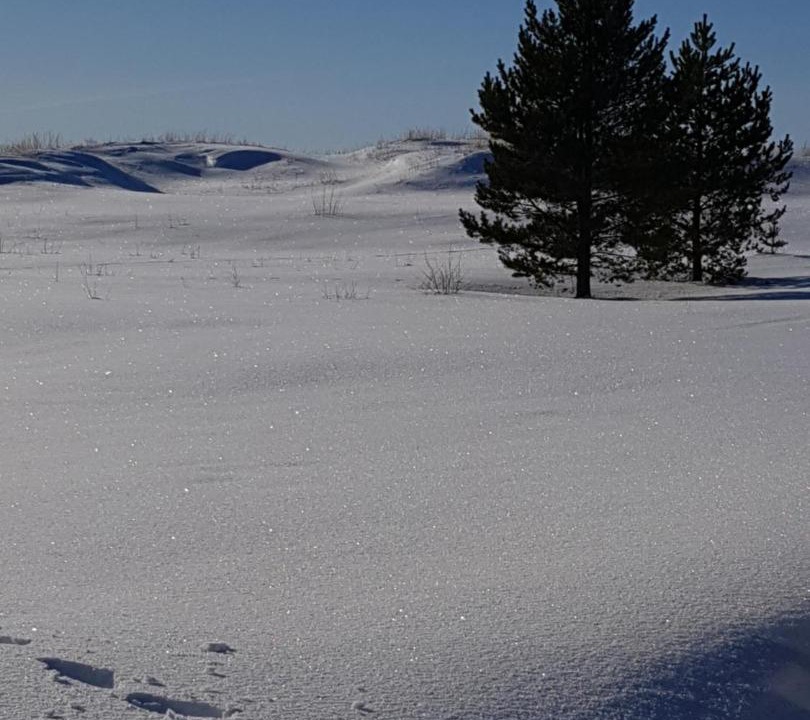 Photo of Others in Hailuoto