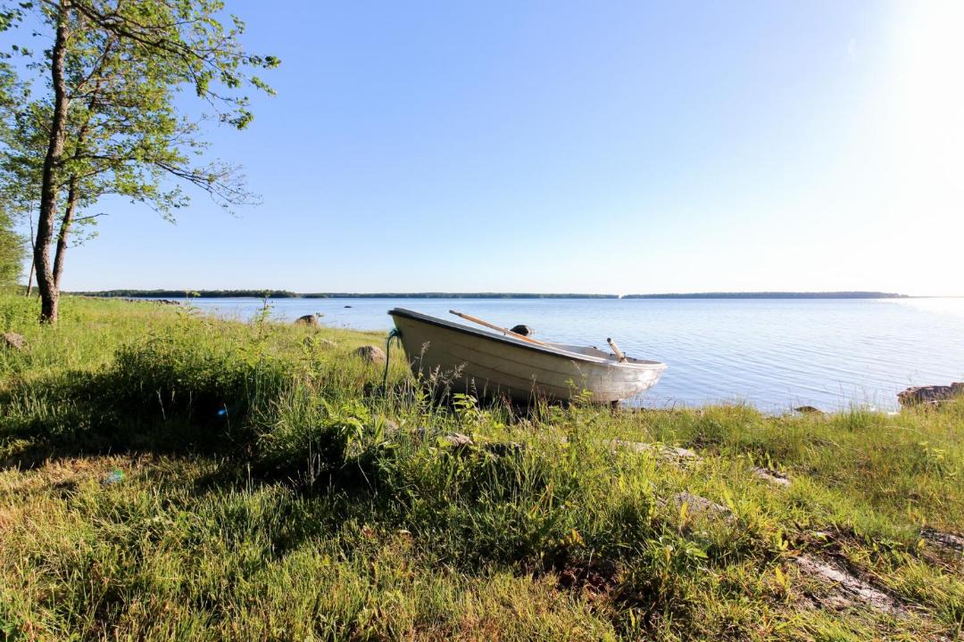 Photo of Others in Lapvaartti