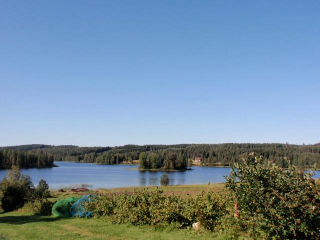 Photo of Others in Petajavesi
