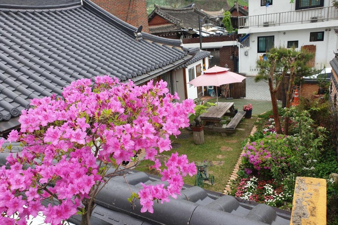 Photo of Others in Jeonju