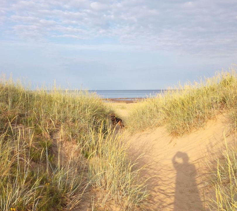 Photo of Human In Picture in Hailuoto