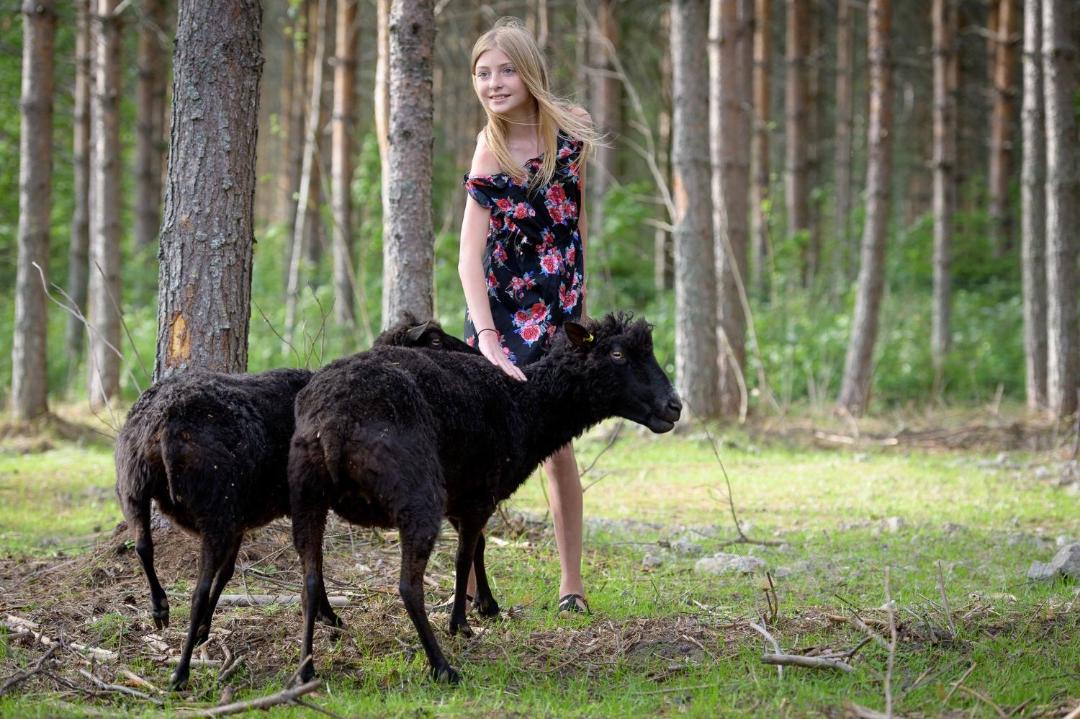Photo of Others in Peraseinajoki