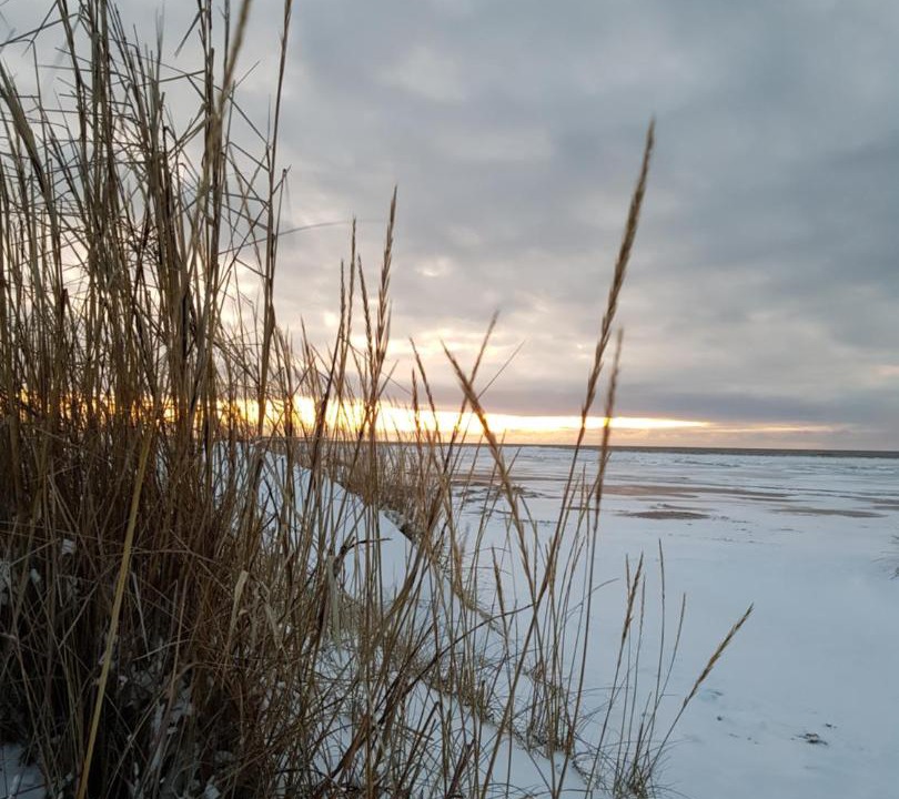 Photo of Others in Hailuoto