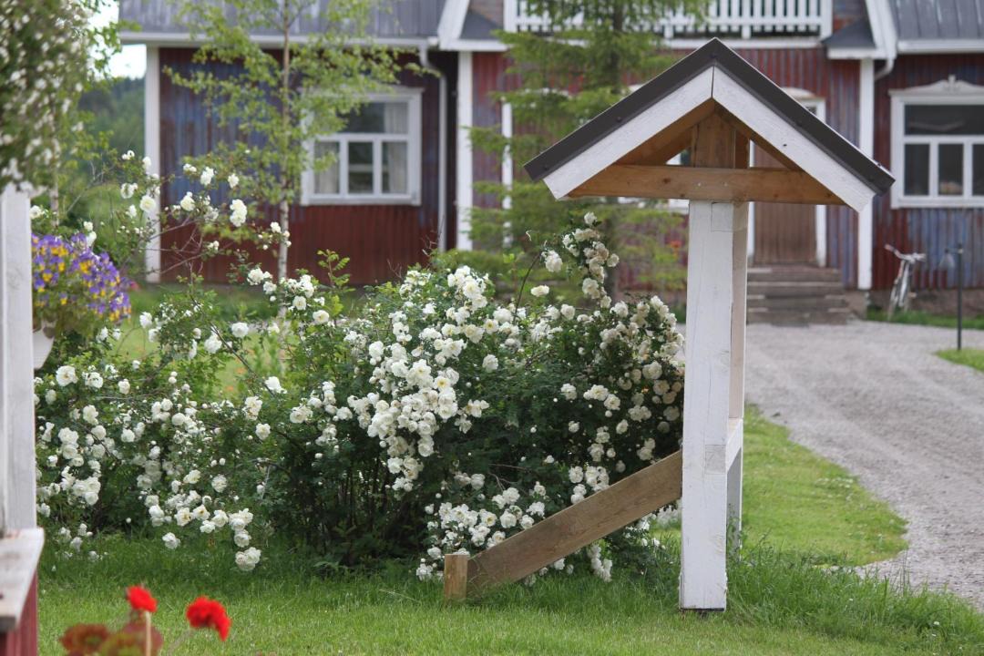Photo of Others in Petajavesi