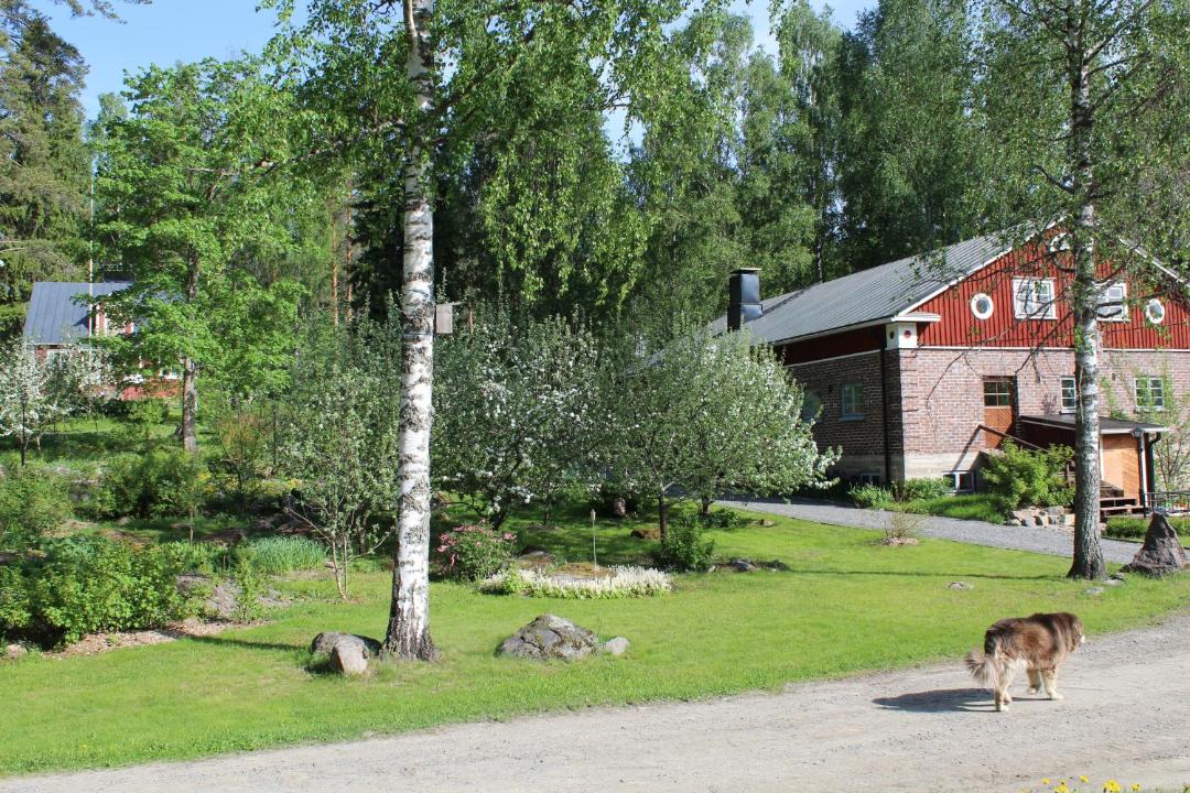 Photo of Others in Toivakka