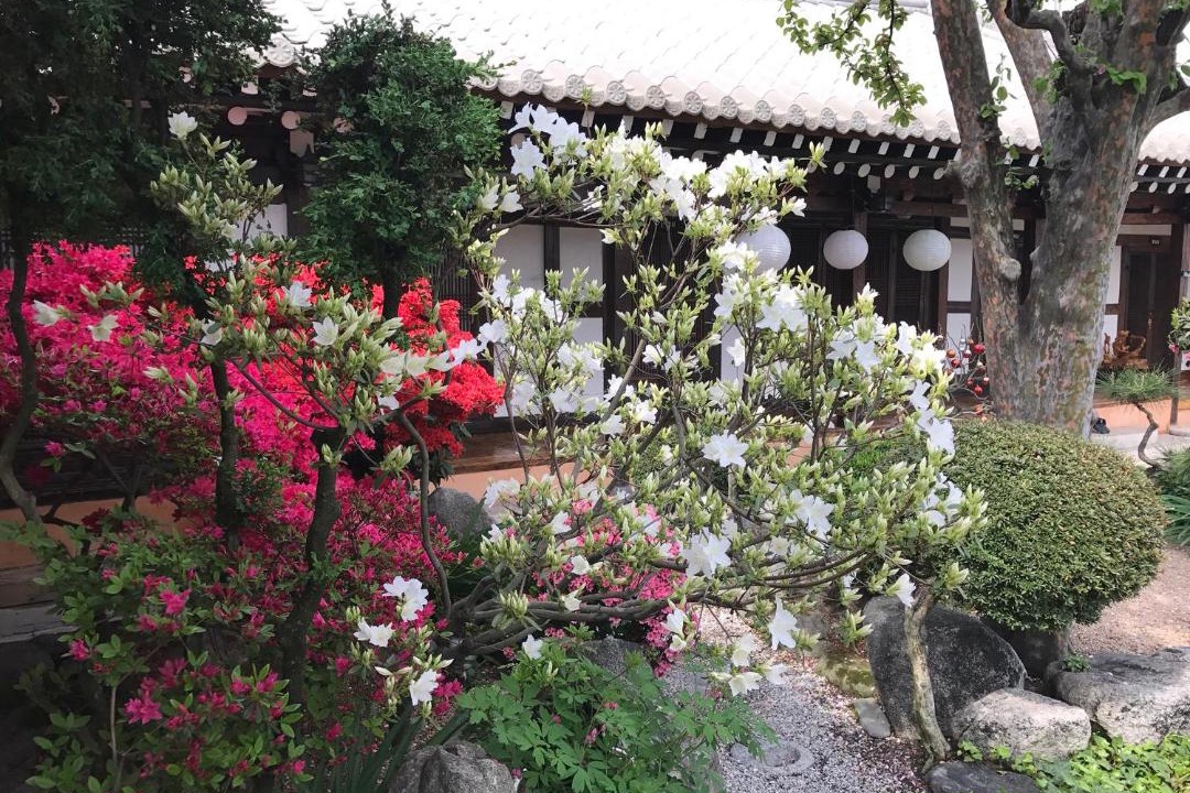 Photo of Others in Jeonju