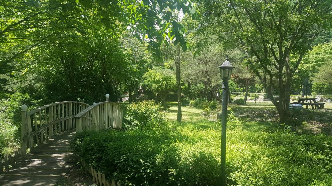 Photo of Outdoor in Bongpyeong